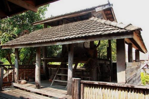 ชุมชนบ้านหนองบัว  ท่าวังผา