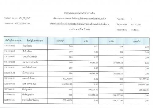 รายงานงบทดลองประจำเดือนมีนาคม 2566