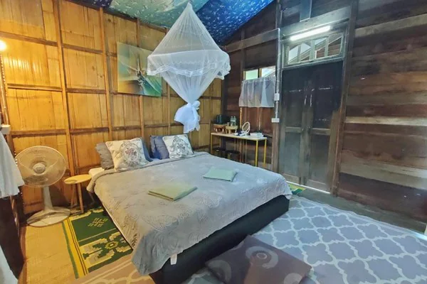 Gallery image 13