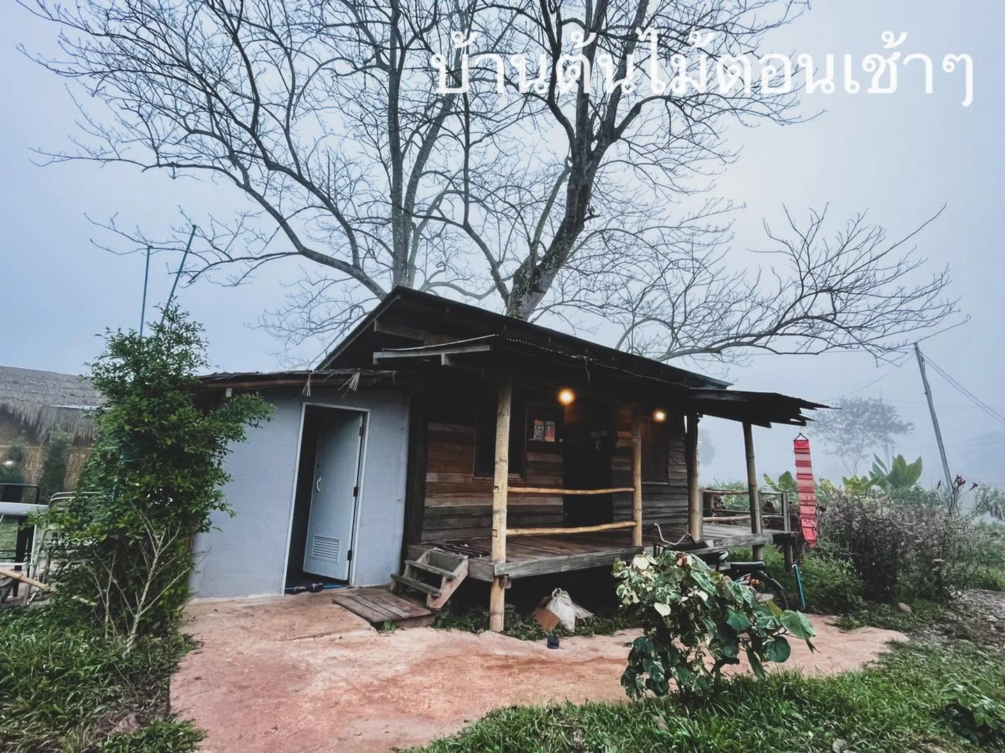 Gallery image 17