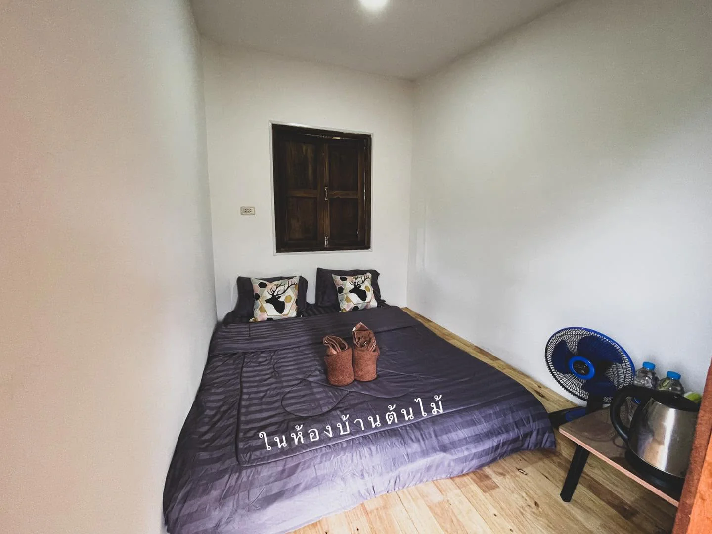Gallery image 10